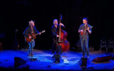 The Tennessee Warblers: Bluegrass Grateful Dead Tribute